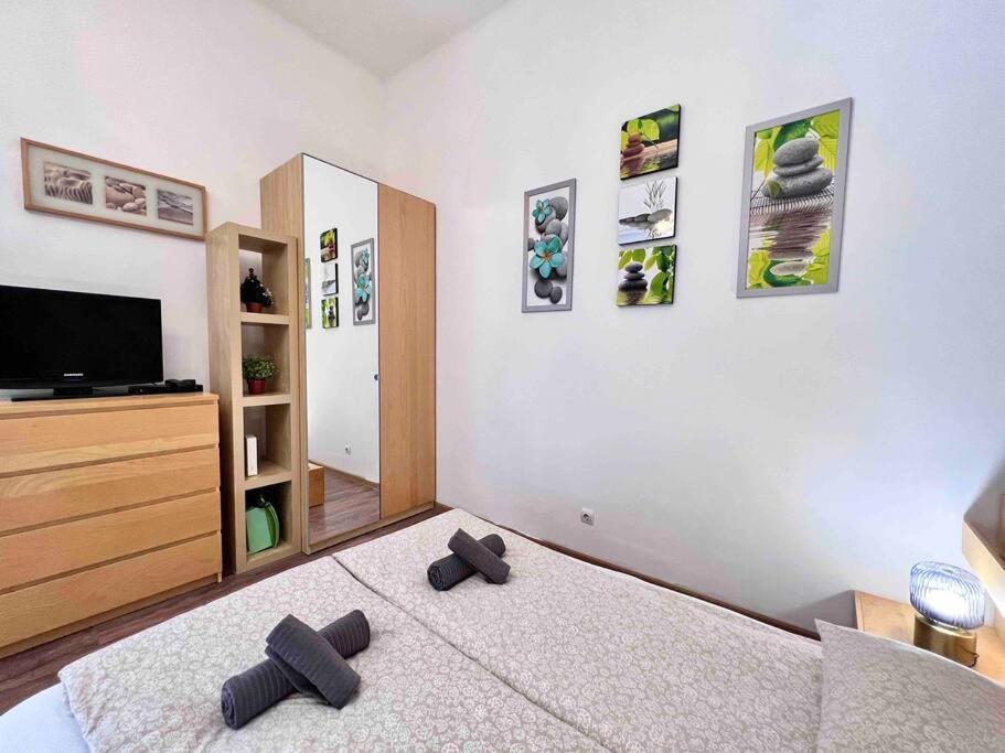 City Heart Cozy With 2ppl/wifi Apartment Budapest